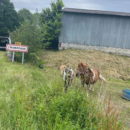 Schickes Studio In Einer Idyllischen Umgebung Apartmán *