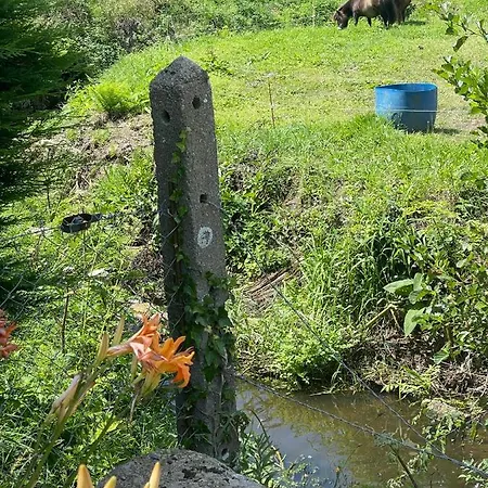 Schickes Studio In Einer Idyllischen Umgebung * Champeaux